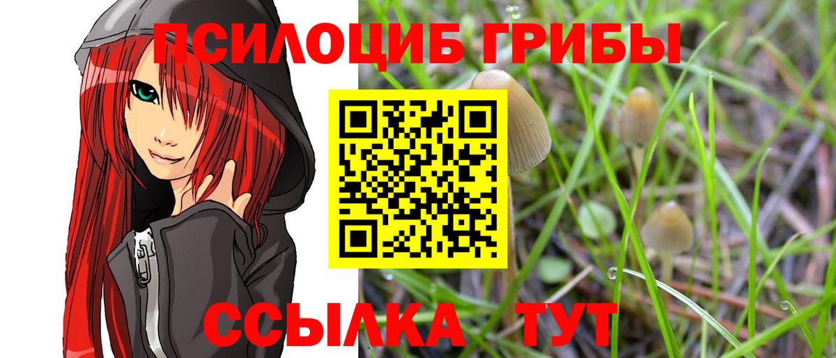 продажа наркотиков  Галлюциногенные грибы прущие грибы  Псилоцибиновые грибы MAGIC MUSHROOMS  Вход с VPN  Нововоронеж 